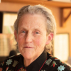 Temple Grandin