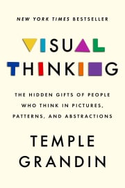 Visual Thinking: The Hidden Gifts of People Who Think in Pictures, Patterns, and Abstractions