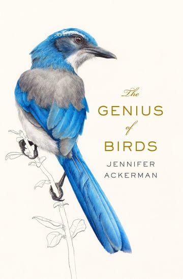 The Genius of Birds by Jennifer Ackerman