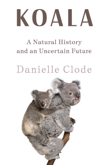 Koala by Danielle Clode